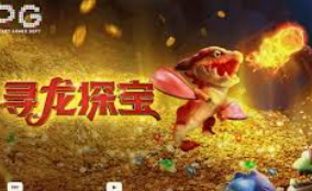 BBIN视讯2024最新版